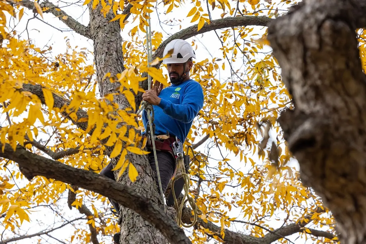 Skilled Storm Damage Cleanup crew working in Everton